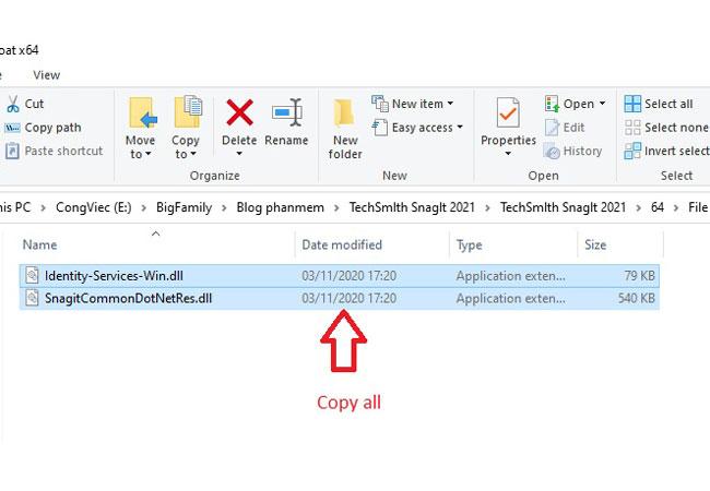Copy hai mục như trên hình để tiến hành crack Snagit 2021